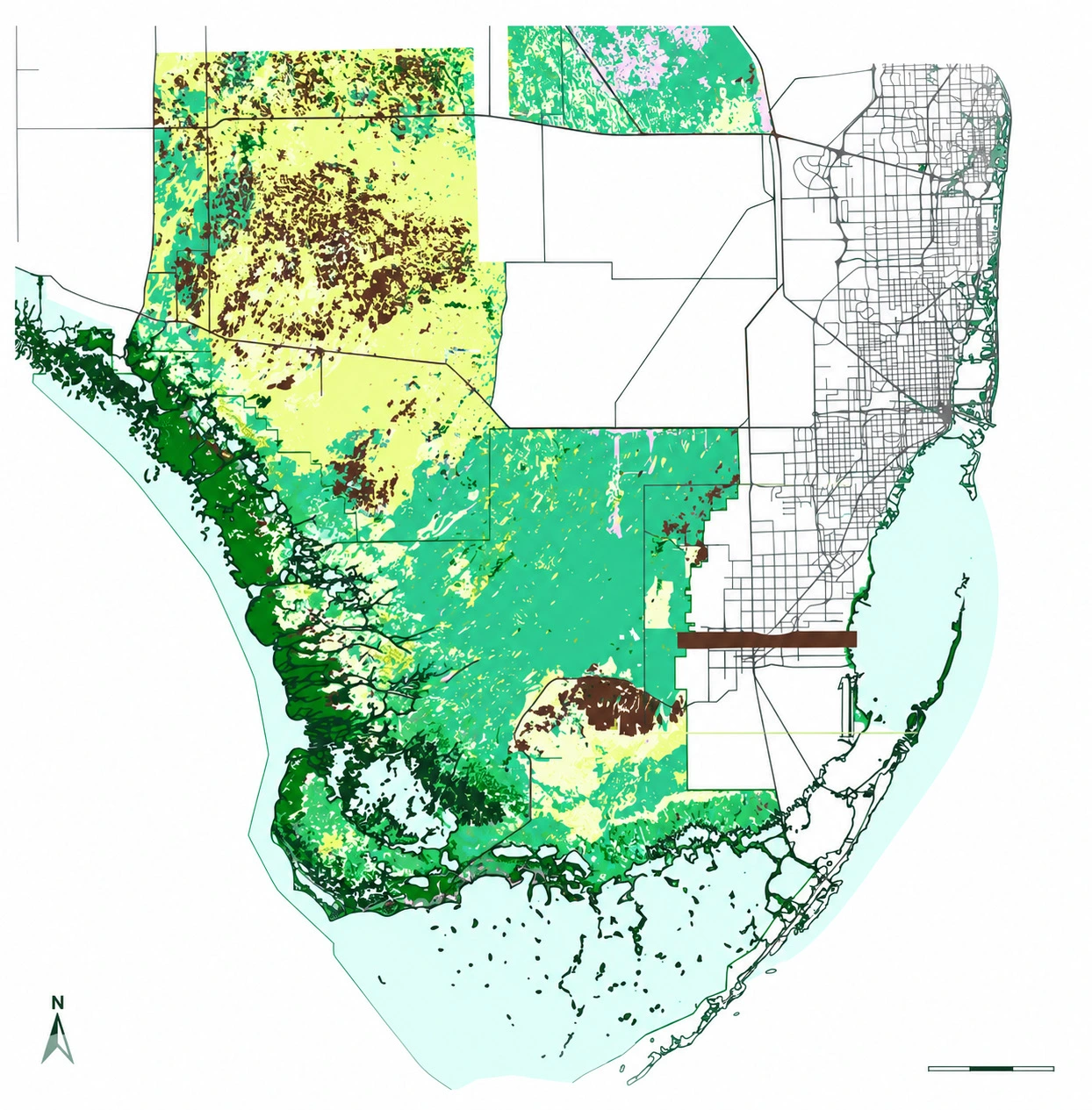 South Florida vegetation map