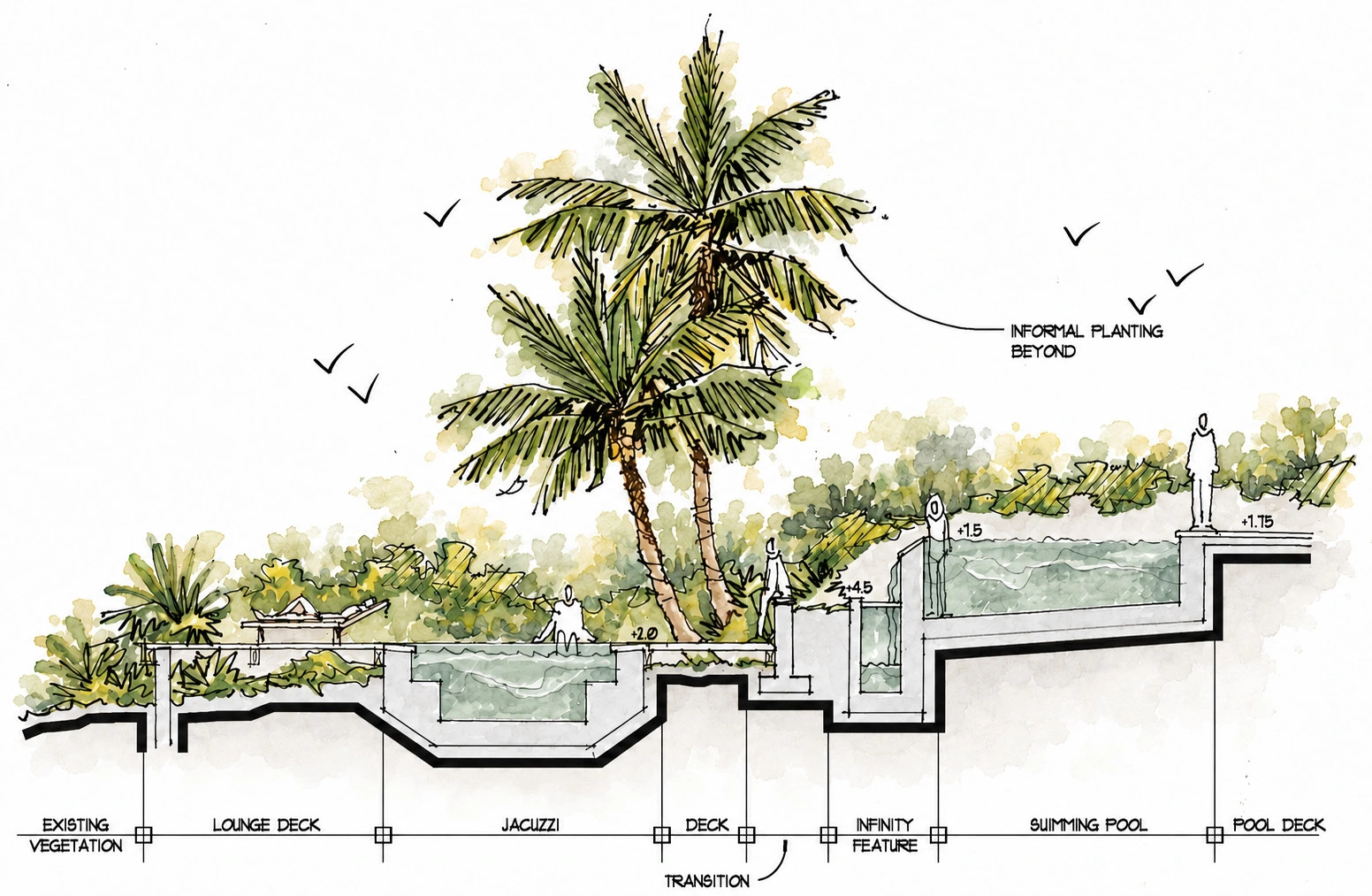 Landscape & water section